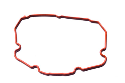OEM Polaris 5413874 Valve Cover Seal NOS