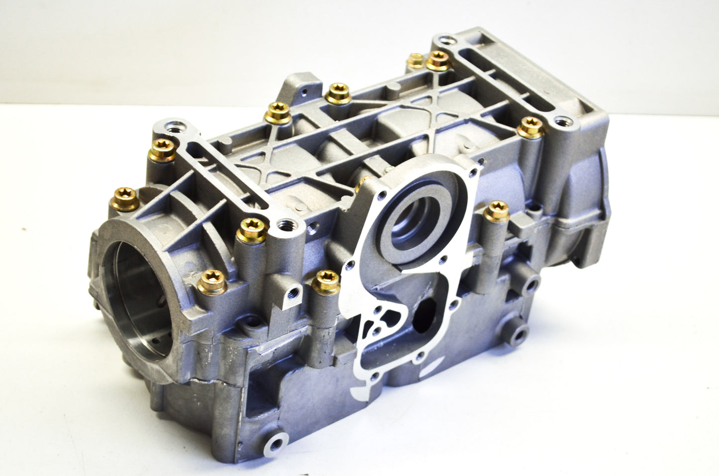 OEM Polaris 2202154 Crankcase Kit NOS