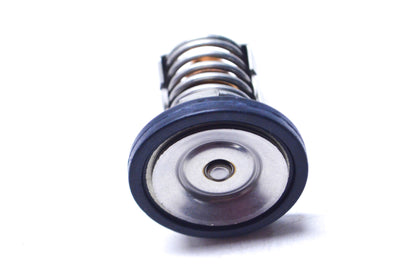 New OEM Mercury Thermostat NOS