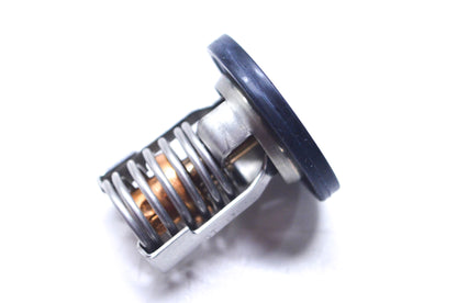 New OEM Mercury Thermostat NOS