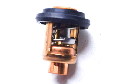 New OEM Mercury Thermostat NOS
