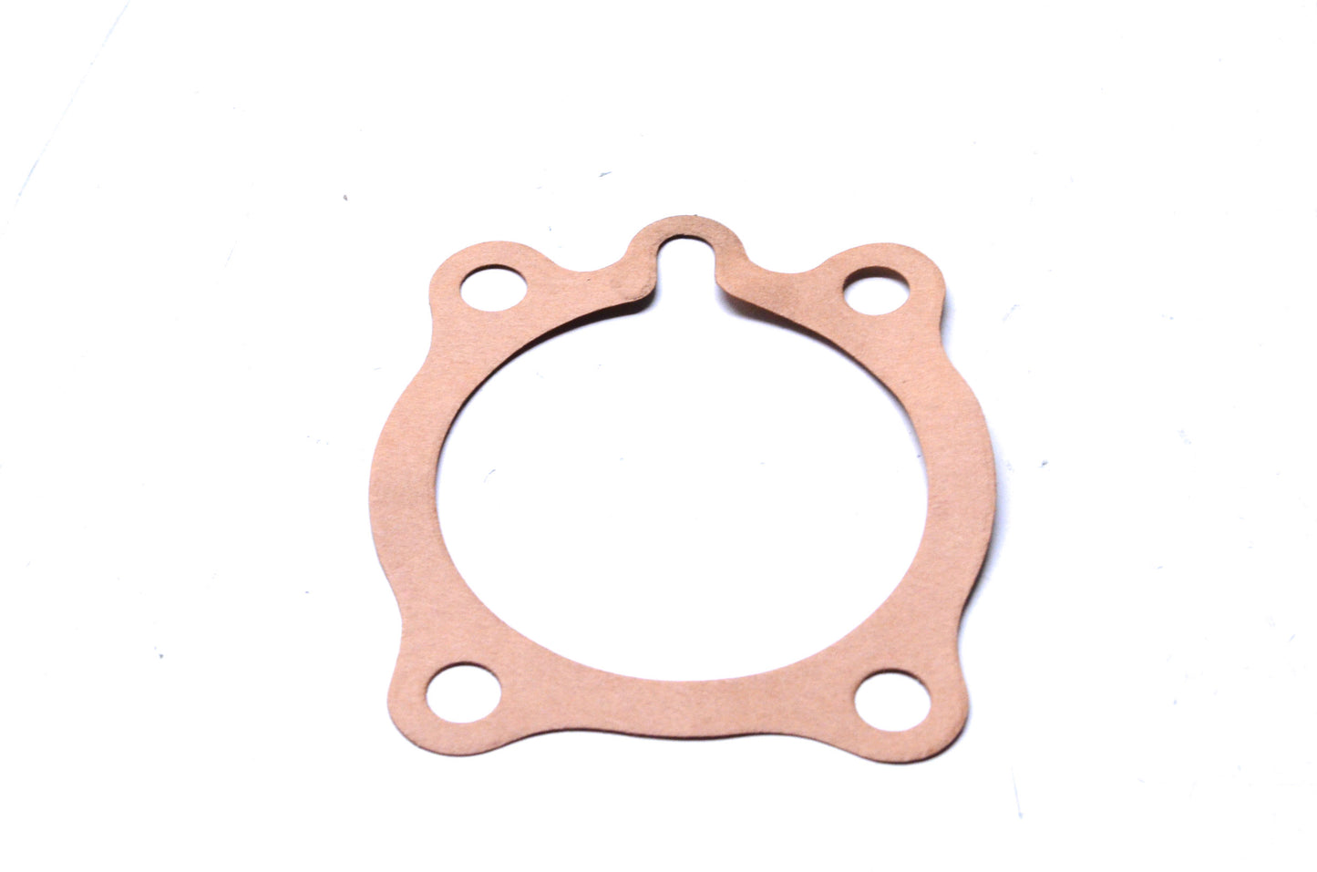New OEM Polaris Seal Plate Gasket NOS