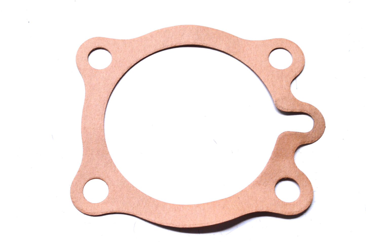 New OEM Polaris Seal Plate Gasket NOS