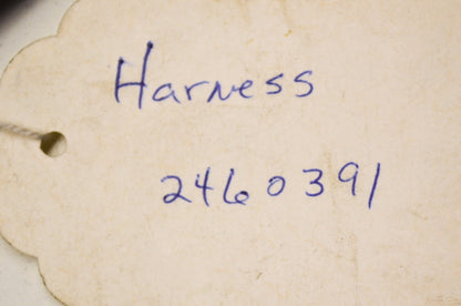 OEM Polaris 2460391 Harness NOS