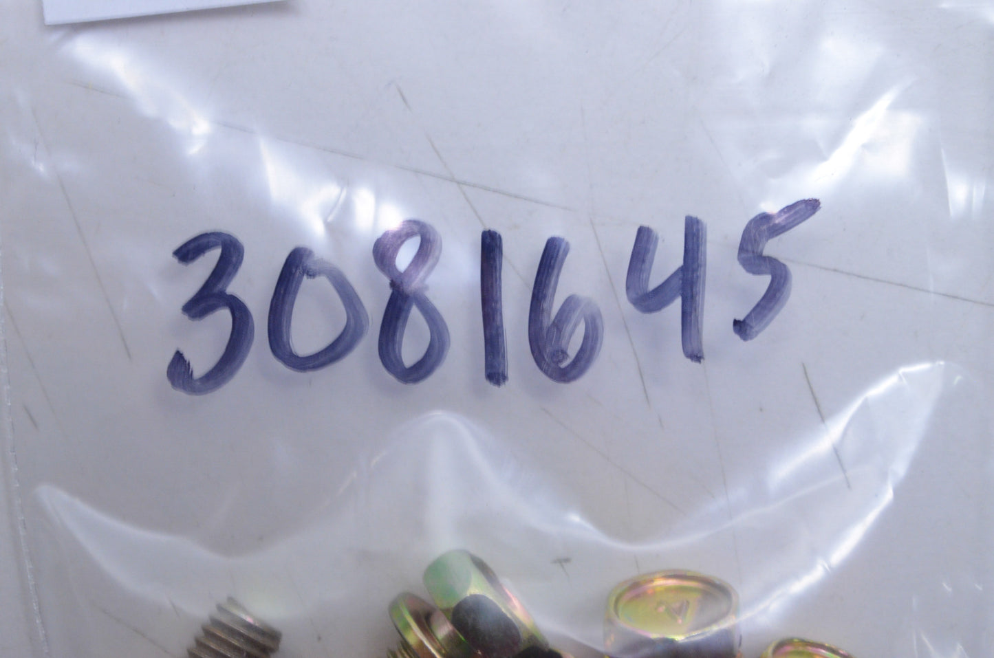 OEM Polaris 3081645 Bolt Qty 2 NOS