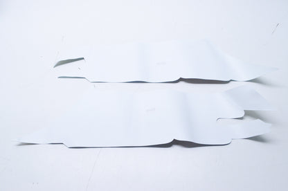 OEM Polaris 2202635 2004 Sportsman 700 Tank Side Decal Kit NOS