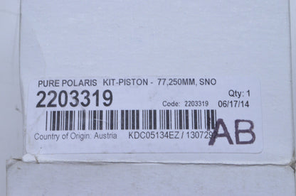 OEM Polaris 2203319 Piston Kit