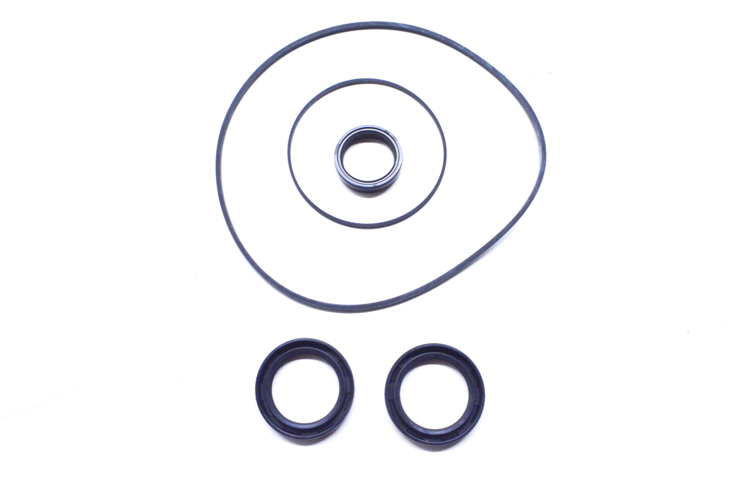 New OEM Polaris Seal Repair Kit .6203-9U-114 NOS