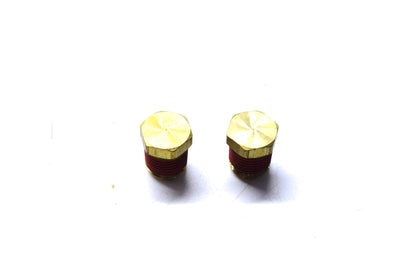 Brass Plug Qty 2 NOS