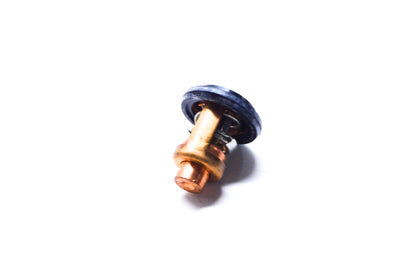New OEM Mercury  Thermostat  NOS