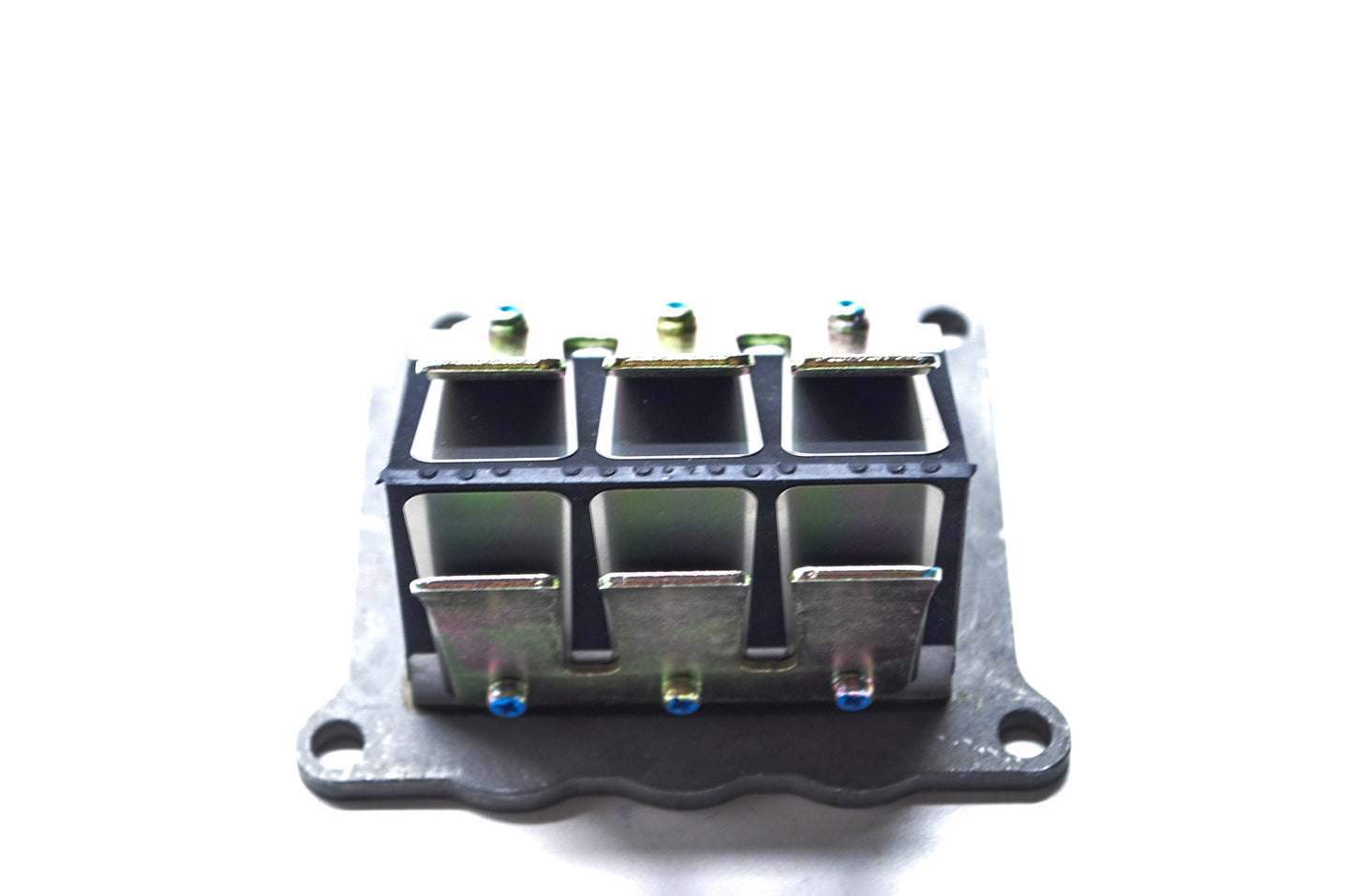 Reed Valve Assembly NOS