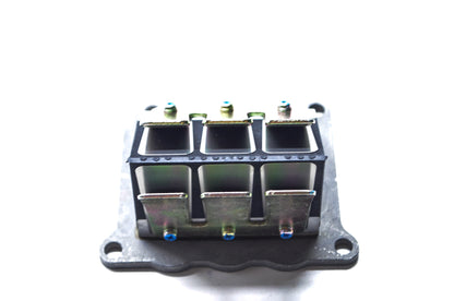 Reed Valve Assembly NOS