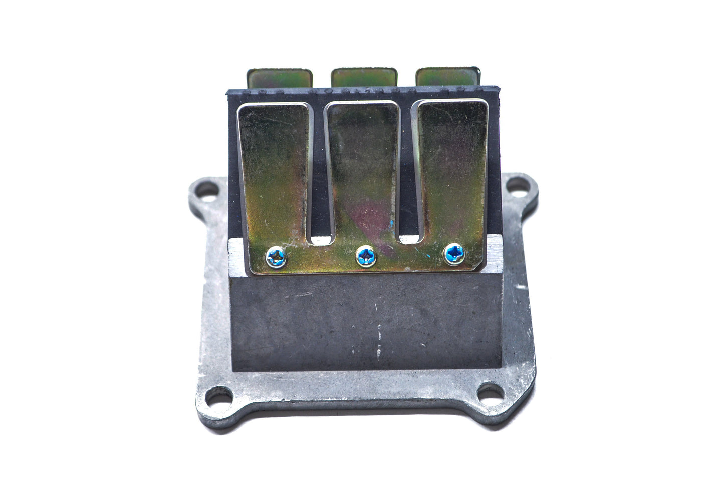 Reed Valve Assembly NOS