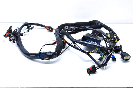 OEM Victory P2411502, 2411502 Chassis Harness Kit NOS