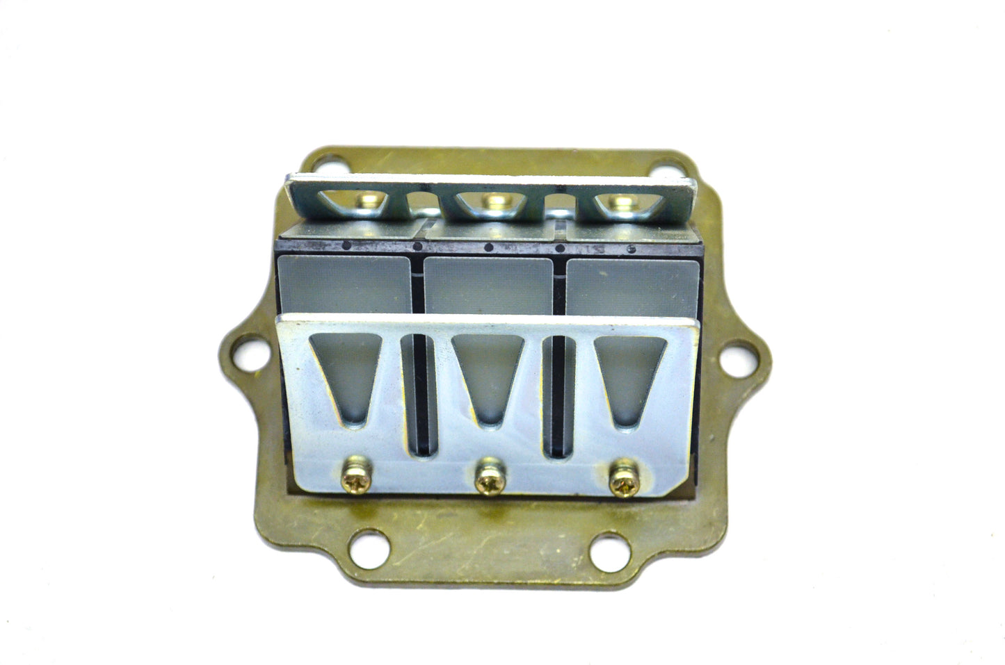 Reed Valve Assembly NOS