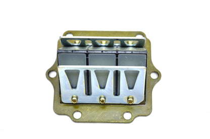Reed Valve Assembly NOS