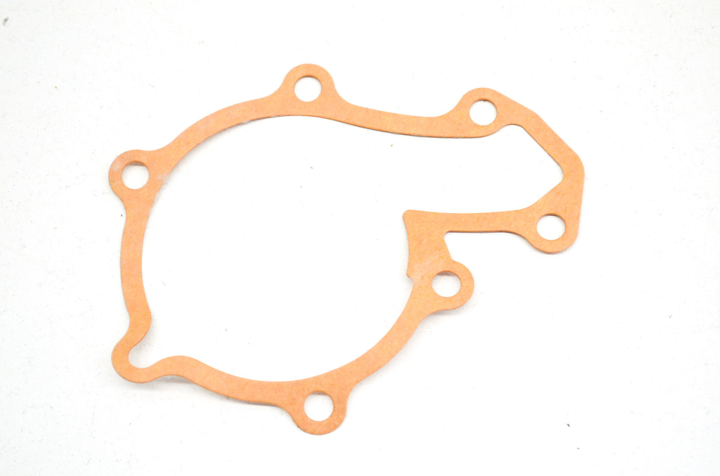 OEM Polaris 3089603 Water Pump Gasket NOS