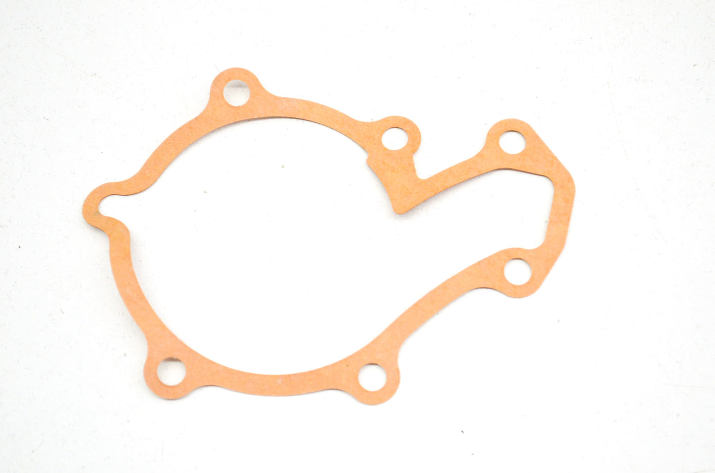 OEM Polaris 3089603 Water Pump Gasket NOS