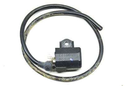 Ignition Coil Assembly