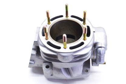 New OEM Polaris Engine Cylinder NOS