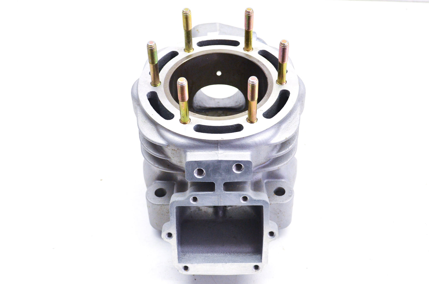 New OEM Polaris Engine Cylinder NOS