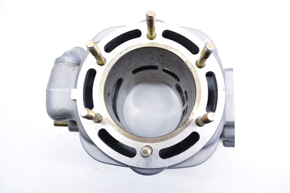 New OEM Polaris Engine Cylinder NOS