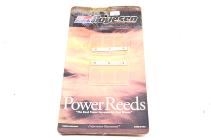 New Boyesen Power Reed Kit NOS