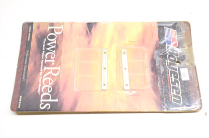 New Boyesen Power Reed Kit NOS
