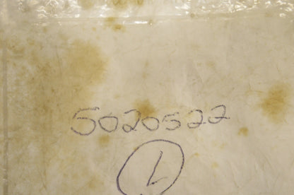 OEM Polaris 5020522 Hex Nut NOS