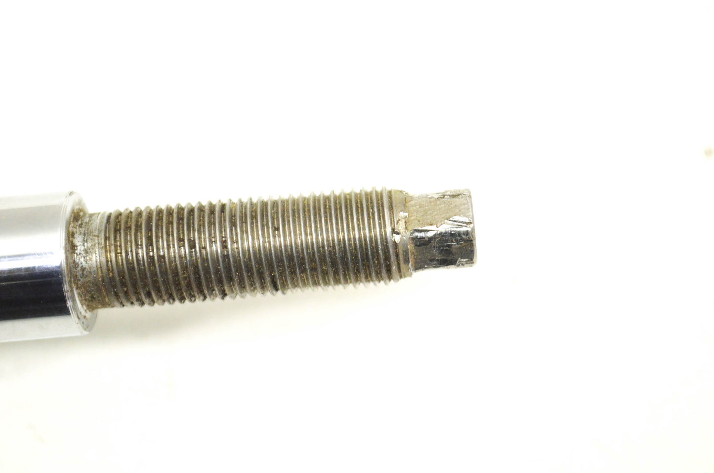 OEM Polaris Front Shock Strut
