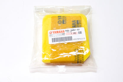 Air Cleaner Element NOS