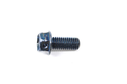 OEM Kawasaki 92066-0038 Drain Plug 10x22 NOS