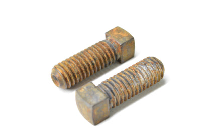 Toro 3243-5 Screw Qty 2 NOS
