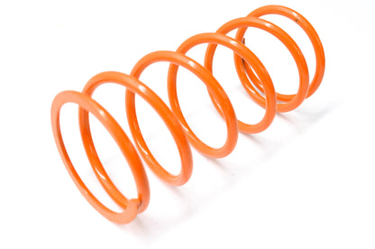 EPI PATV2 Orange Clutch Spring NOS