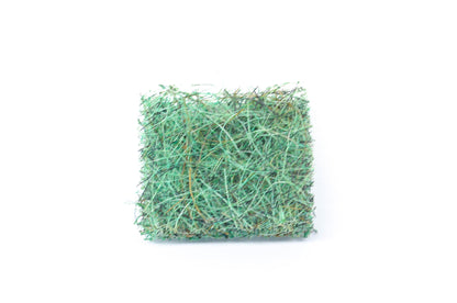 Tecumseh 28424 Small Engine Air Filter NOS