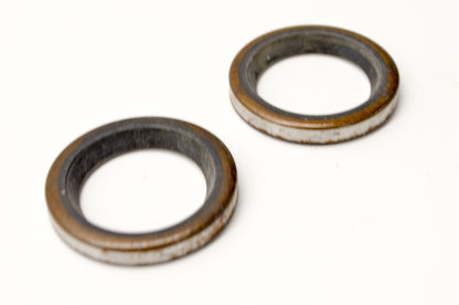 OEM Briggs & Stratton 299819 Oil Seal QTY 2 NOS