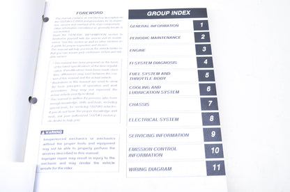 OEM Suzuki LT-R450 Service Manual
