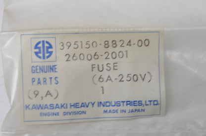 OEM Kawasaki 26006-2001, 6A-120 V Fuse NOS