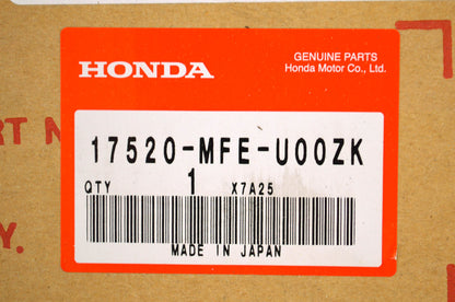 OEM Honda 17520-MFE-U00ZK Fuel Tank R342C