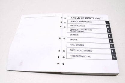 OEM Yamaha LIT-11616-21-26 XV19CX/MX/SX/CSX/CTM Service Manual