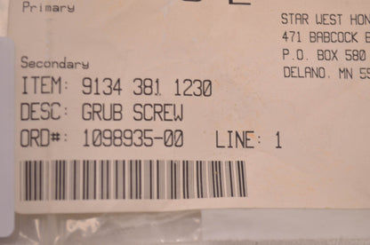 New OEM STIHL Grub Screw QTY 2 NOS
