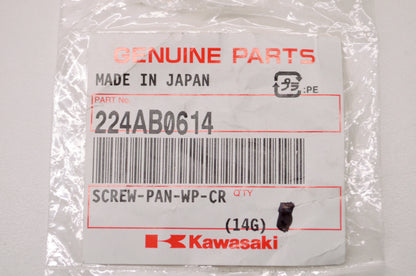 OEM Kawasaki 224AB0614 Screw Pan WP Cross NOS