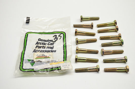 OEM Arctic Cat 8002-045 Cap Screw 1/4-20x1.50 Qty 14 NOS