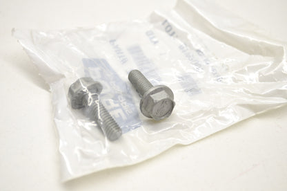 Hex Bolts Qty 2 NOS