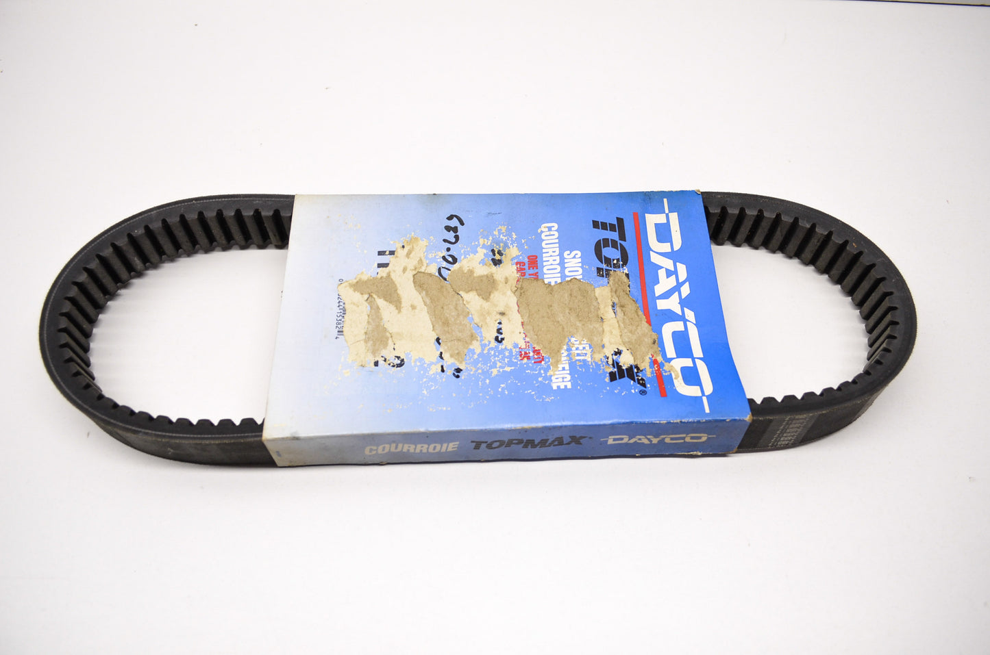 Belt for Arctic Cat Panther Cougar Pantera Jag El Tigre NOS