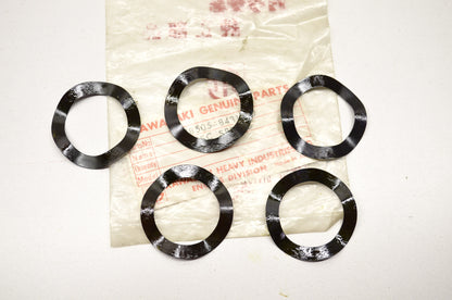 Disc Spring Qty 5 NOS