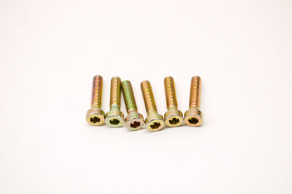 Aftermarket 420941691, P420941691 M6 x 25 Cylinder Screws Qty 6 NOS