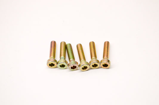 Aftermarket 420941691, P420941691 M6 x 25 Cylinder Screws Qty 6 NOS