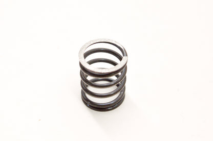 Aftermarket 290938810 Spring NOS
