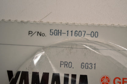 Piston Ring Set NOS